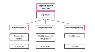 schema begeleidingshuis Van Celst