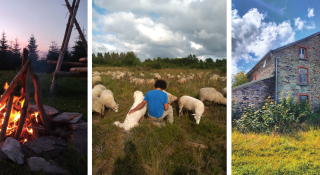 collage van foto's genomen bij Ferm'Eline