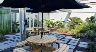 stadstuin Korte Sint Annastraat 5